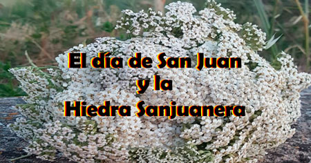 la hidedra sanjuanera y la festividad de san juan
